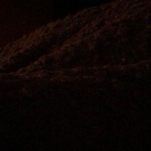 Meet your Posher, Trinity